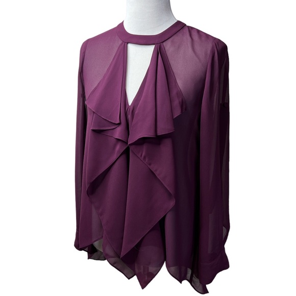 BCBG Maxazaria Enja Blouse Ruffle Sheer Feminine Flowy Wine Deep Port Wedding XS - Picture 2 of 10